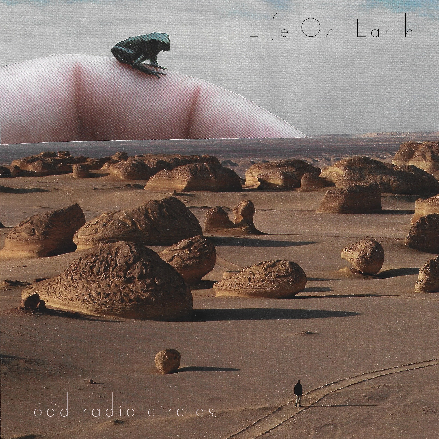 Life on
Earth cover
art